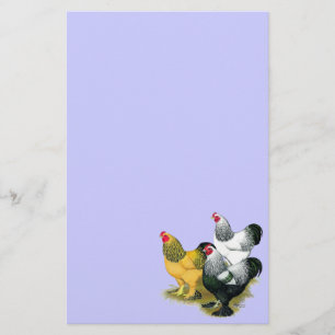 Brahmas Drie Roosters Briefpapier