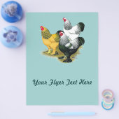 Brahmas Drie Roosters Flyer (Enkel)