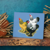 Brahmas Drie Roosters Fotoplaat (Zijkant)