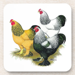 Brahmas Drie Roosters Onderzetter