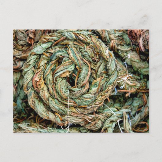  Braided dried sorrel leaves Briefkaart (Voorkant)