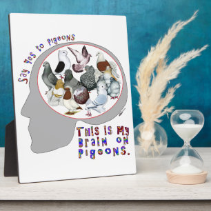 Brain aan duiven fotoplaat