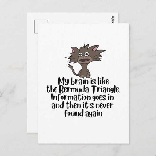 Brain als Bermuda Funny Crazy Cat Expression Briefkaart (Voorkant / Achterkant)