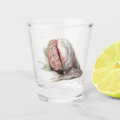 Brain Anatomie Shot Glas (Voorkant)