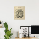 Brain Anatomy Art #1 met Cream Achtergrond Poster (Thuiskantoor)