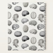 Brain Anatomy Biology Antique Illustrations Planner (Achterkant)