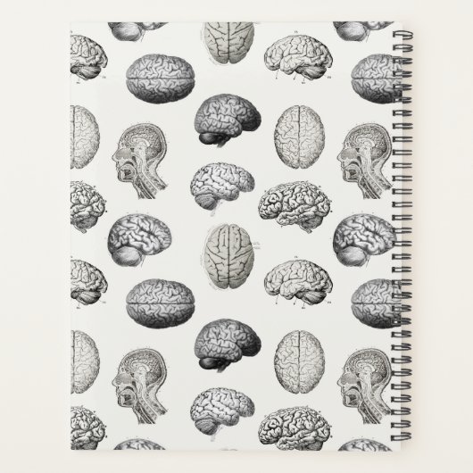 Brain Anatomy Biology Antique Illustrations Planner (Achterkant)