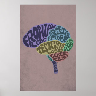 Brain Art Print