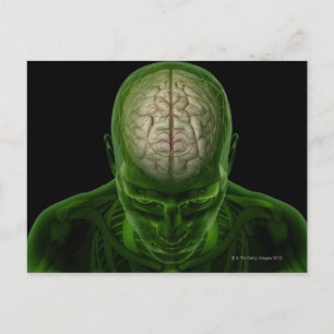 Brain Arteries Briefkaart
