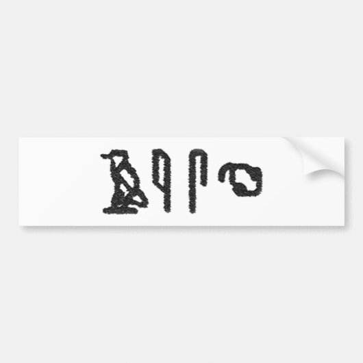 Brain Hieroglyphics Bumpersticker (Voorkant)