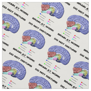 Brain niet storen op het werk Anatomeeënadvies Stof