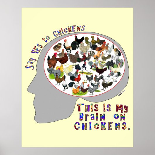 Brain on Kickens Poster (Voorkant)