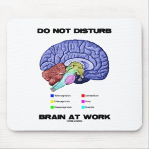 Brain op het werk niet storen (anatomische Humor) Muismat