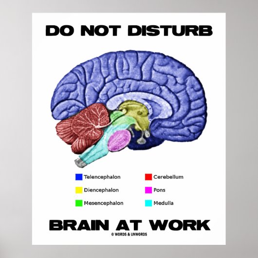 Brain op het werk niet storen (anatomische Humor) Poster (Voorkant)