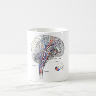 Brain Pathways-Mok Koffiemok