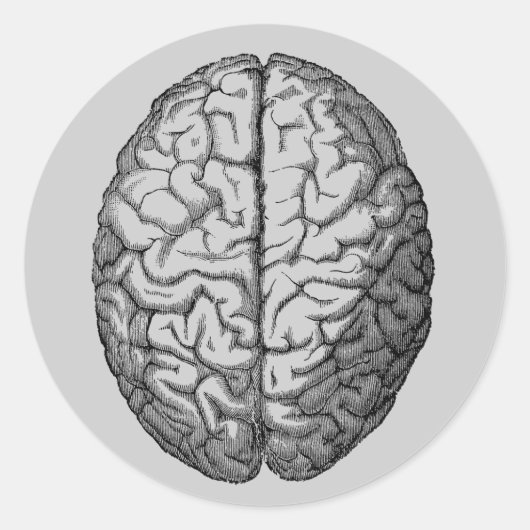 Brain Ronde Sticker (Voorkant)