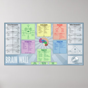 Brain Wall Poster