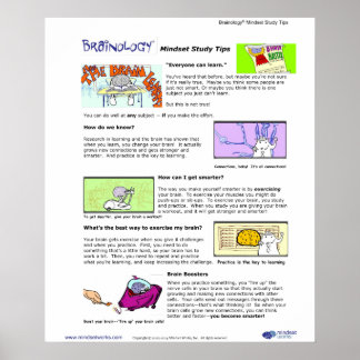 Brainology® Poster 1: indsettips