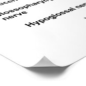 Brainstam met de oorsprong van de verschillende ze poster (Hoek)