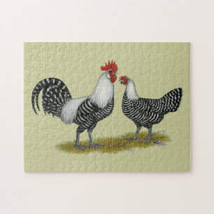 Brakel Chickens Legpuzzel