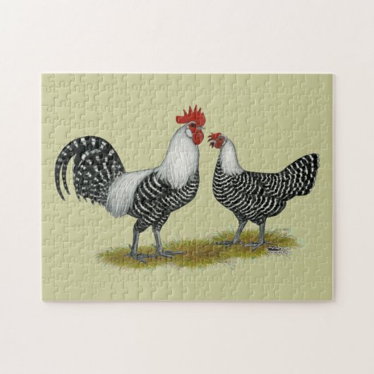 Brakel Chickens Legpuzzel (Horizontaal)