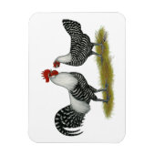 Brakel Chickens Magneet (Verticaal)