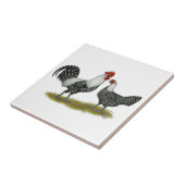 Brakel Chickens Tegeltje (Zijkant)