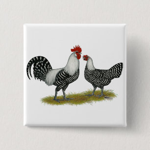 Brakel Chickens Vierkante Button 5,1 Cm