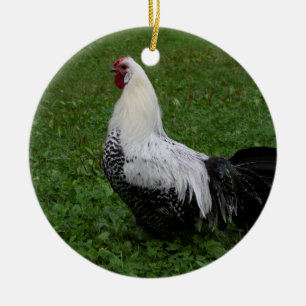Brakel Hahn Keramisch Ornament
