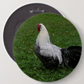 Brakel Hahn Ronde Button 6,0 Cm (Voorkant /achterkant)