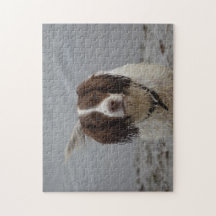 "Bramble the Spaniel" Jigzaag