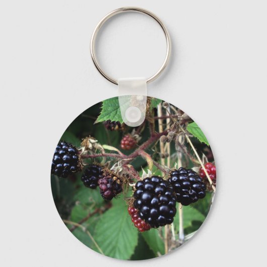 Brambles Sleutelhanger (Voorkant)