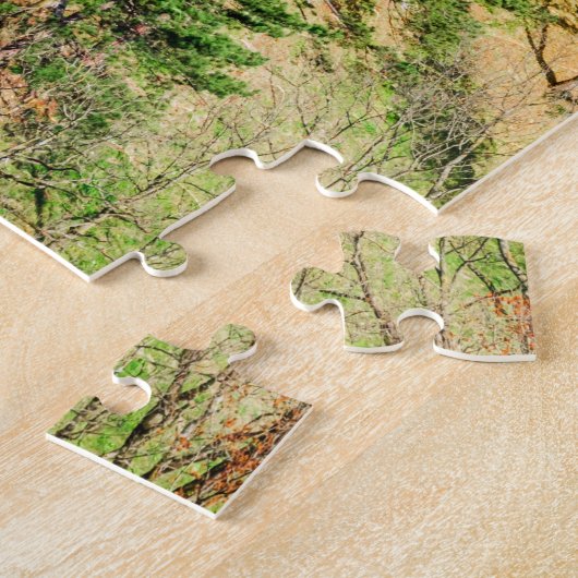 Bran Castle Puzzle (Côté)