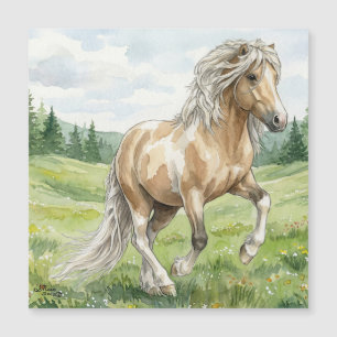 Brana Pinto Palomino IJslandse Aquarel