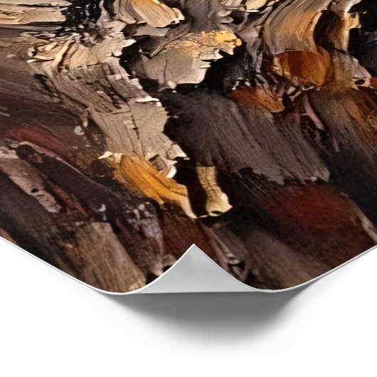 Branch Buddy: De baars van wasbeer Poster (Hoek)