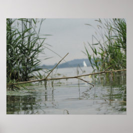 Branch in ondiep water poster