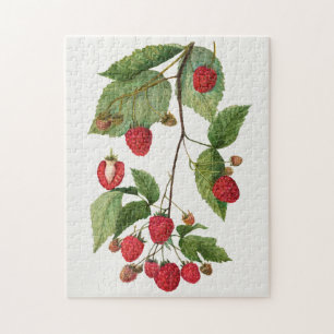 Branch of Blackberry Fruit Waterverf Painting Legpuzzel