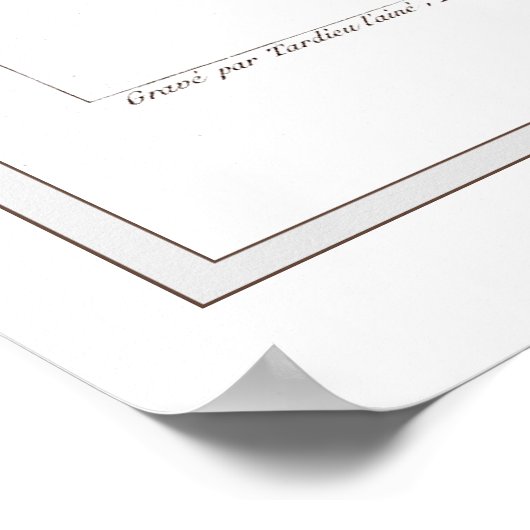 Branch of Cotton Plant - Branche de Cotonou nier Poster (Hoek)