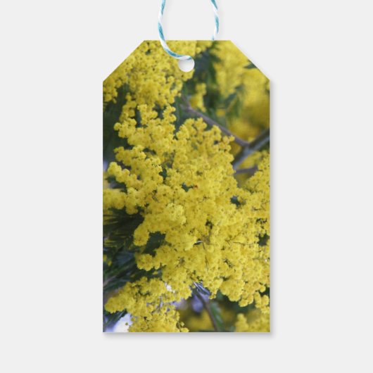 Branch of mimosa cadeaulabel (Achterkant)