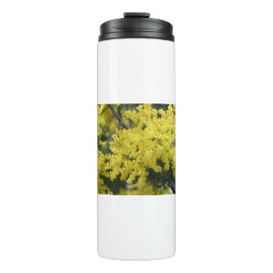 Branch of mimosa thermosbeker