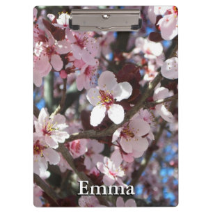 Branch of Pink Blossom Spring Floral Klembord