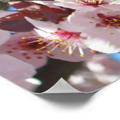 Branch of Pink Blossom Spring Floral Poster (Hoek)