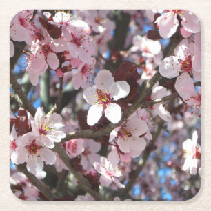 Branch of Pink Blossom Spring Floral Vierkante Kartonnen Onderzetter