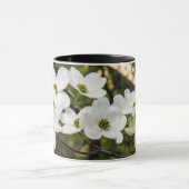 Branche de la Mug Dogwood Blossoms (Centre)