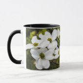Branche de la Mug Dogwood Blossoms (Gauche)