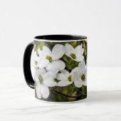 Branche de la Mug Dogwood Blossoms (Devant gauche)