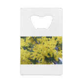 Branche de mimosa (Dos)