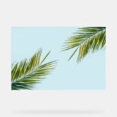 Branche de palmier (Recto)