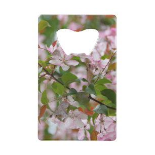 Branche délicate avec fleurs pommier