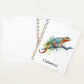 Branche des couleurs : Chameleon Art, coutume (Devant avec enveloppe)